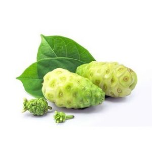 Chiết xuất trái nhàu (Noni extract)