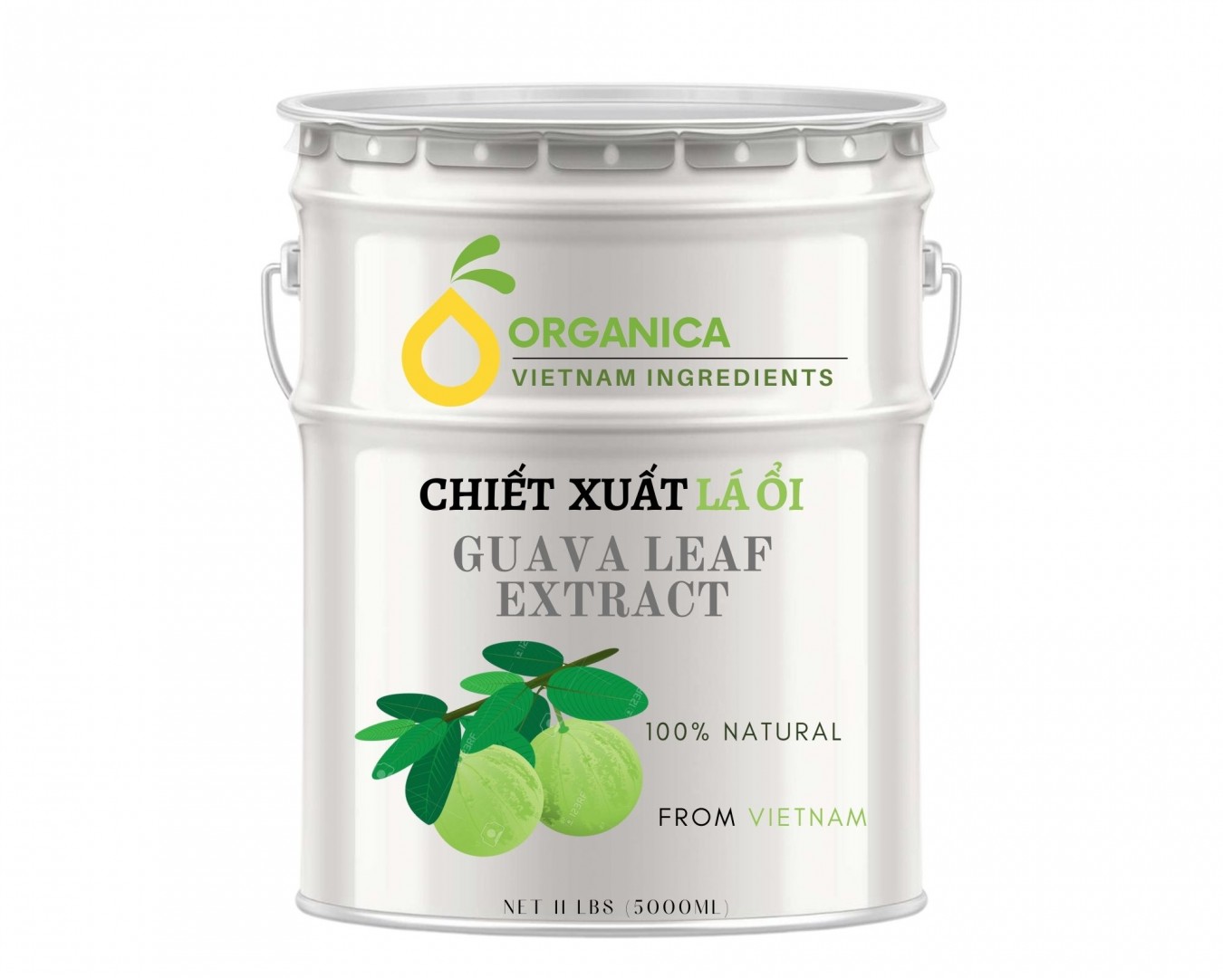 Chiết xuất lá ổi (Guava leaf extract)
