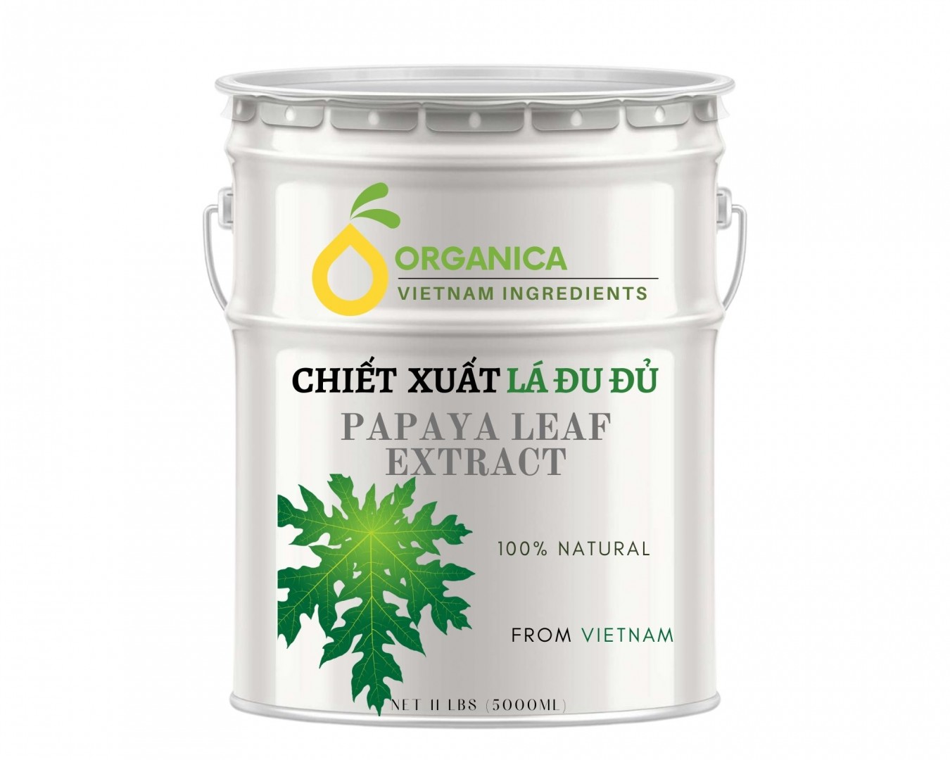 Chiết xuất lá đu đủ (Papaya leaf extract)