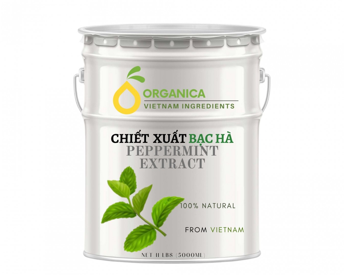 Chiết xuất bạc hà (Peppermint extract)
