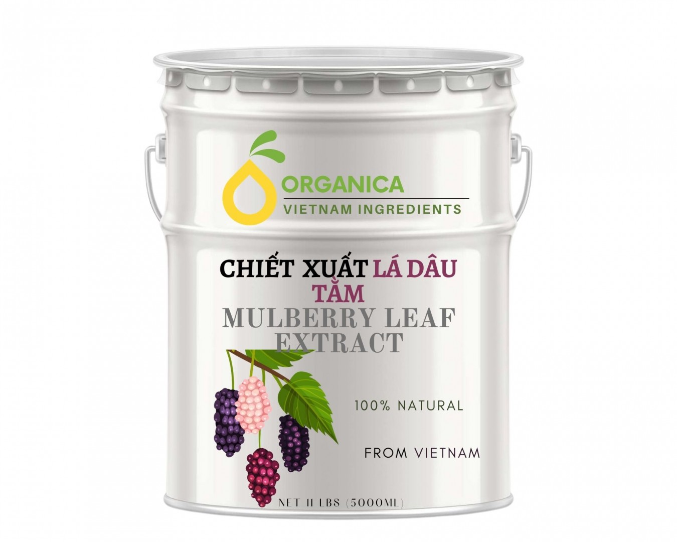 Chiết xuất dâu tằm (Mulberry leaf Extract)