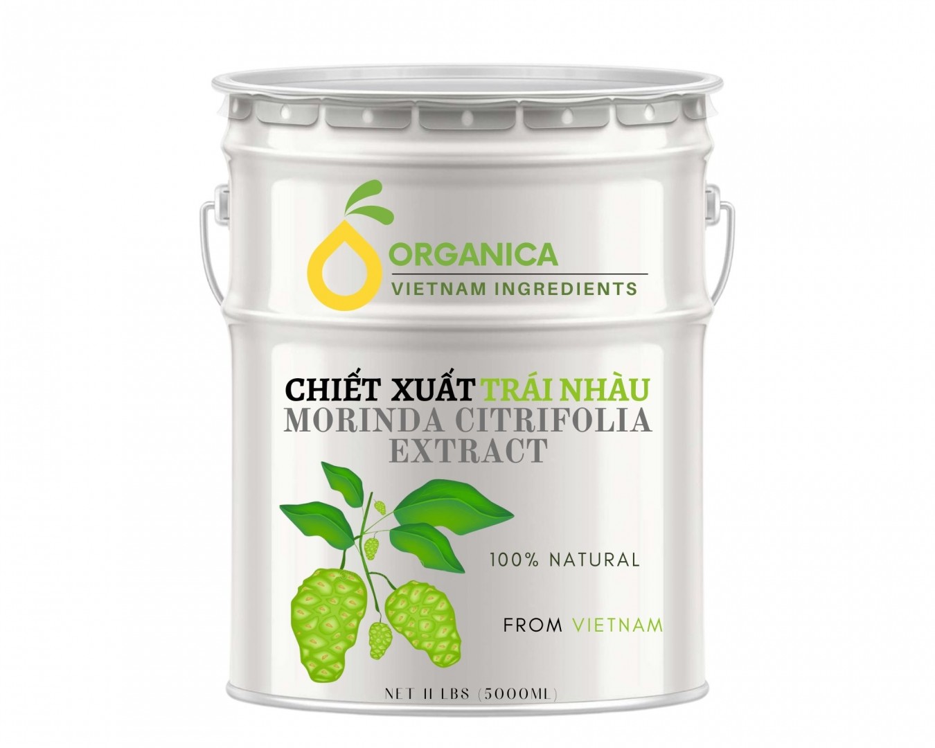Chiết xuất trái nhàu (Noni extract)