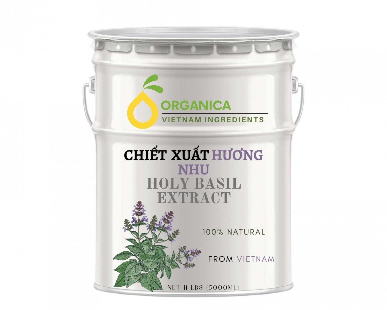 Chiết xuất hương nhu (Holy basil extract)