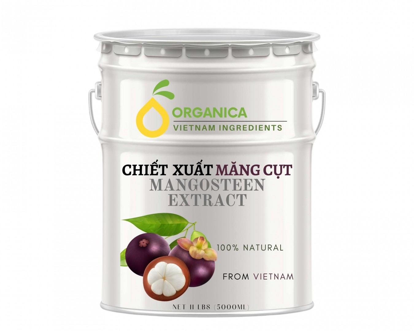 Chiết xuất măng cụt (Mangosteen extract)