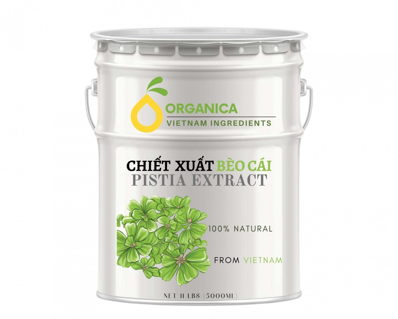 Chiết xuất bèo cái (Shellflower extract)