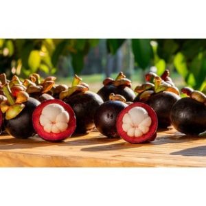Chiết xuất măng cụt (Mangosteen extract)