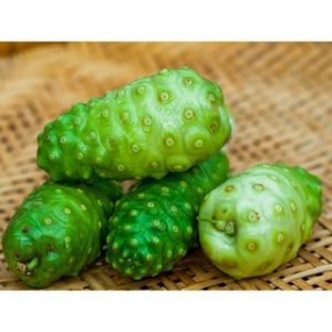 Chiết xuất trái nhàu (Noni extract)