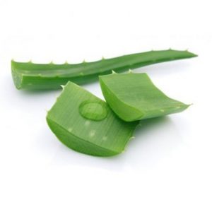 Chiết xuất nha đam (Aloe vera extract)