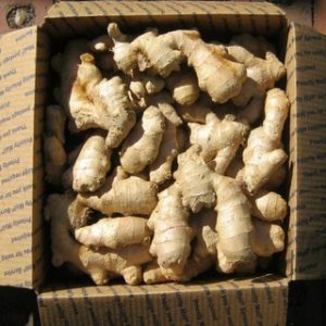 Chiết xuất gừng (Ginger extract)