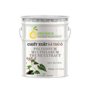 Chiết xuất hà thủ ô (Multiflorous knootweed extract)