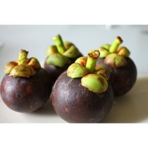 Chiết xuất măng cụt (Mangosteen extract)