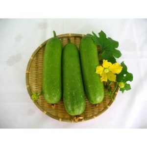 Chiết xuất bí đao (Winter melon extract)